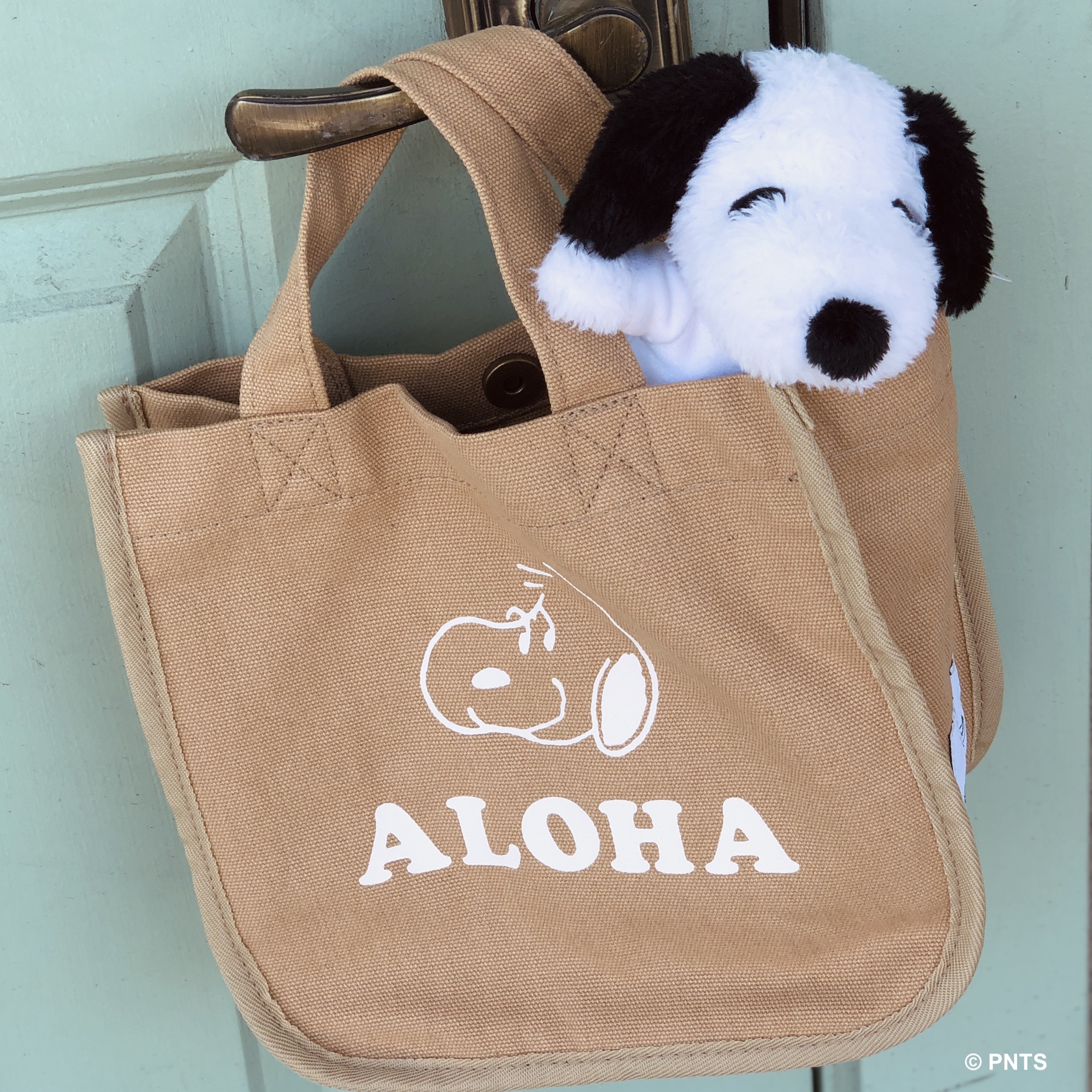 ALOHA is… | Snoopy's Surf Shop