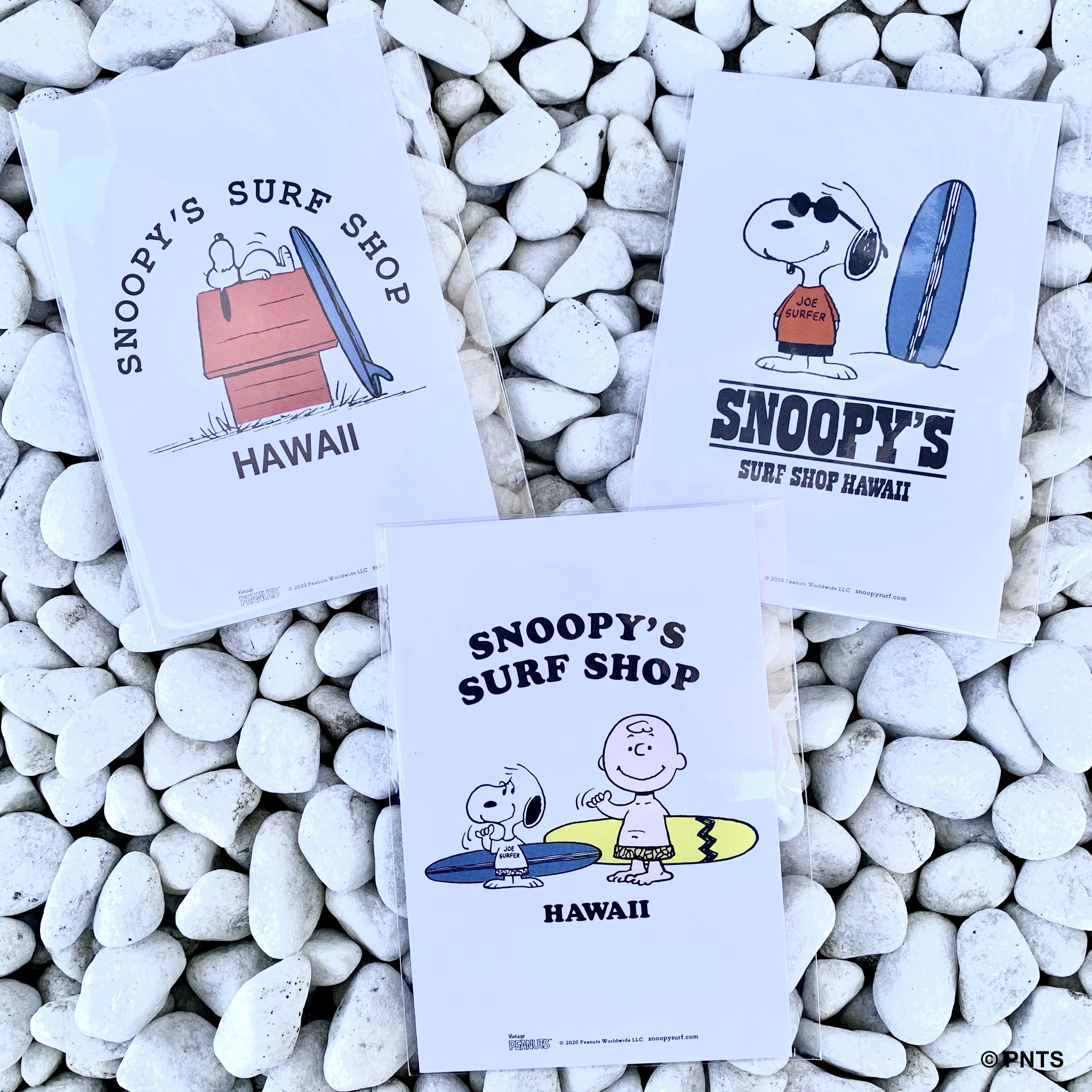 お部屋に飾りたいSNOOPYのポストカード | Snoopy's Surf Shop