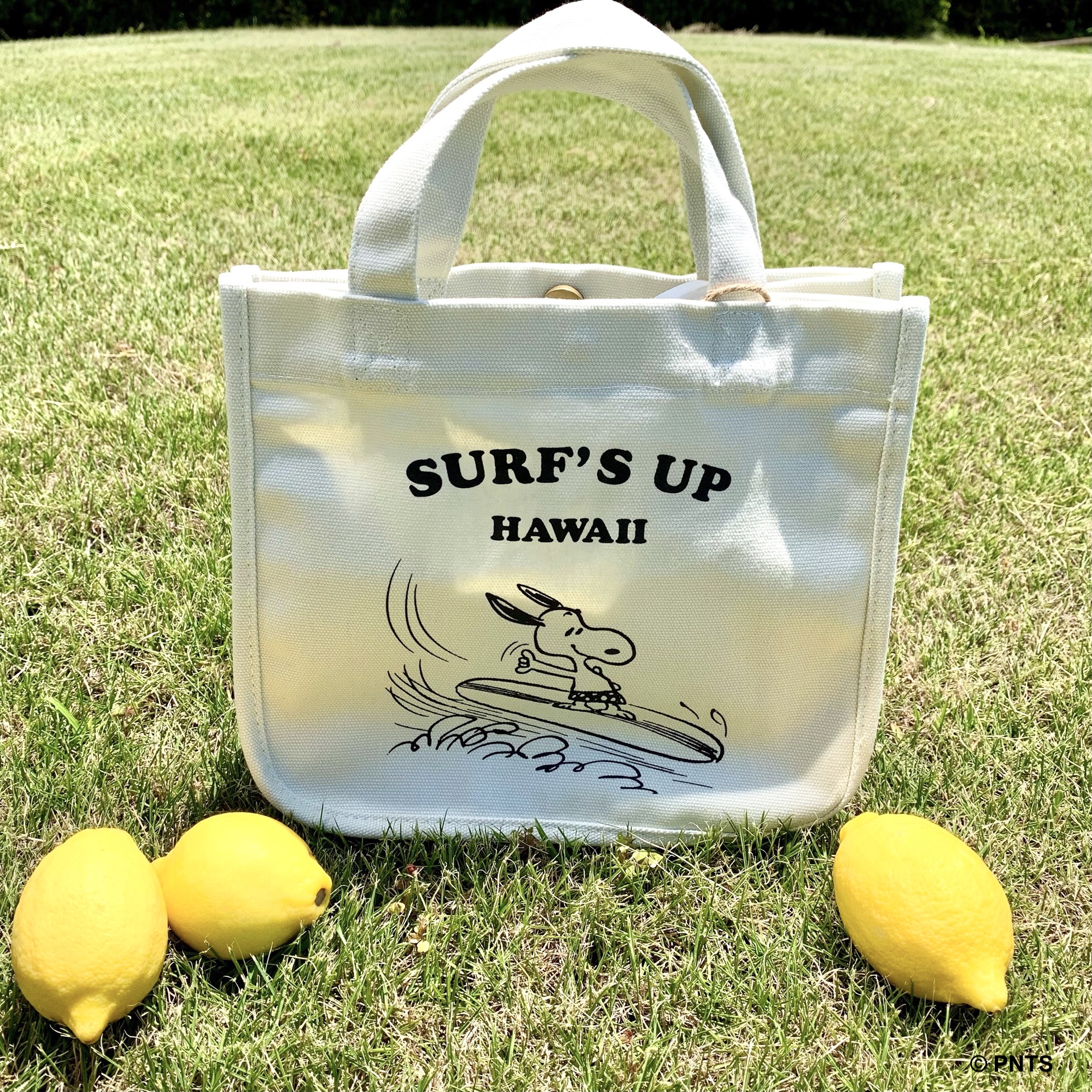 オンラインストアーに仲間入り♪ | Snoopy's Surf Shop