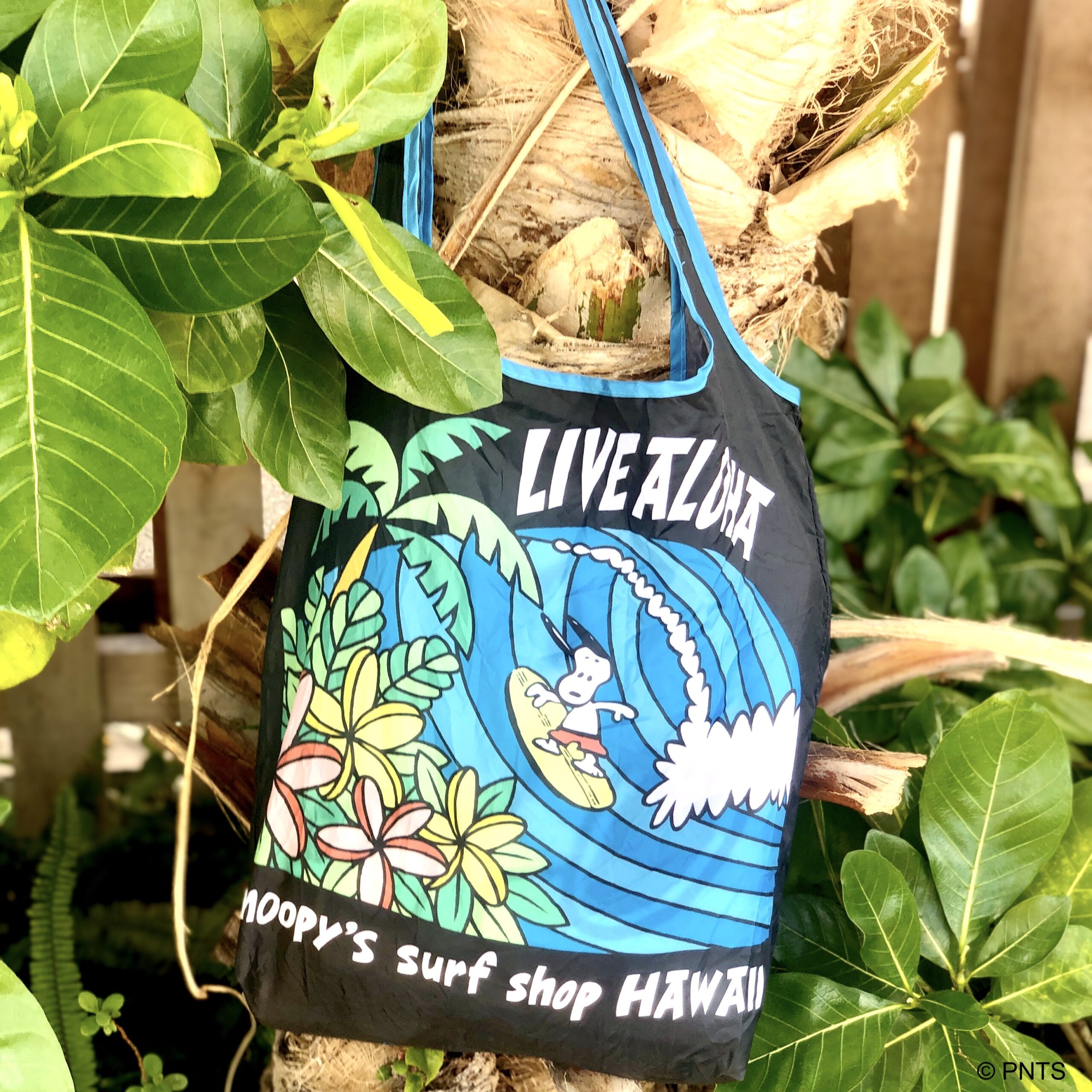 オンラインストアーにNEW Eco Bagが仲間入り | Snoopy's Surf Shop