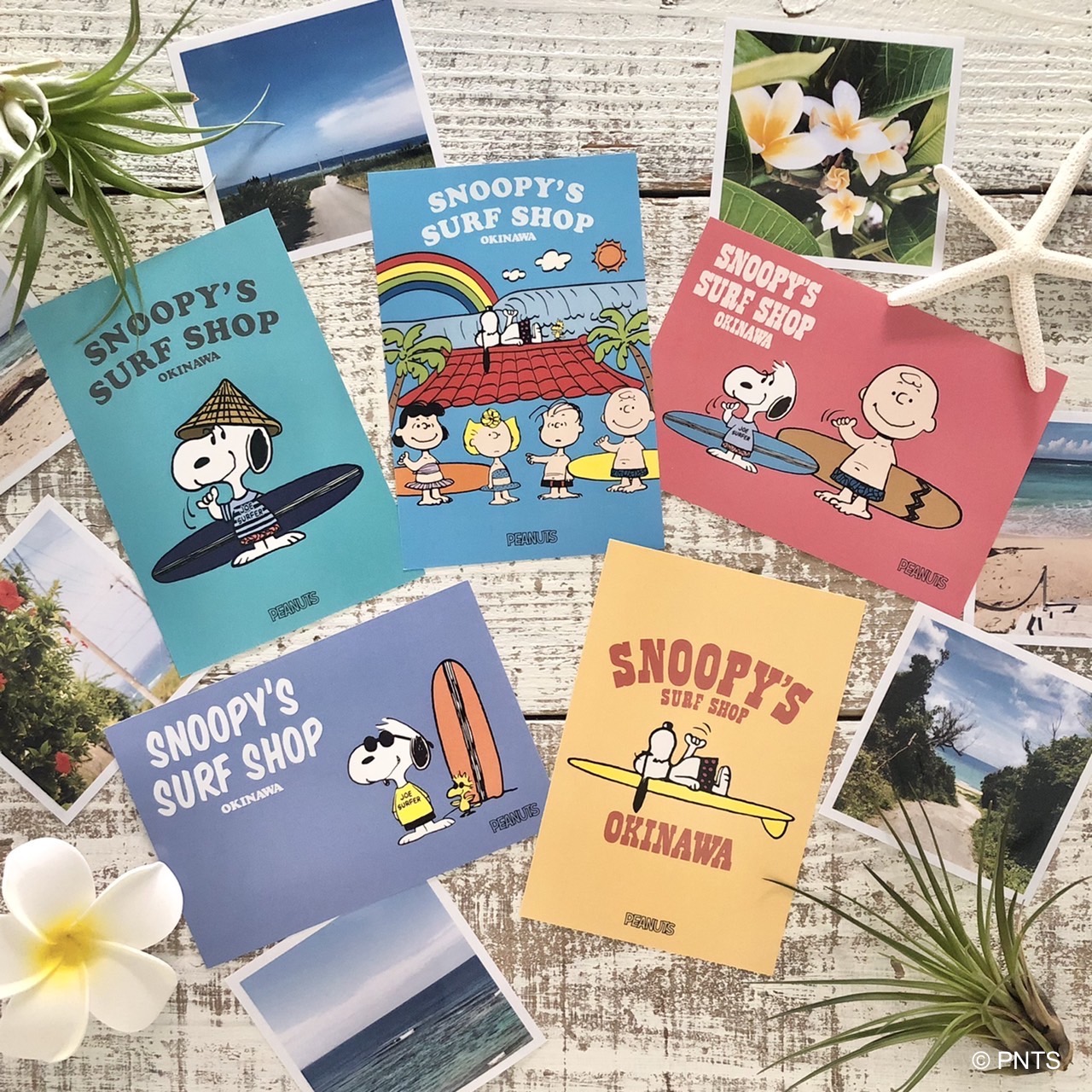 Okinawa Original Postcards | Snoopy's Surf Shop