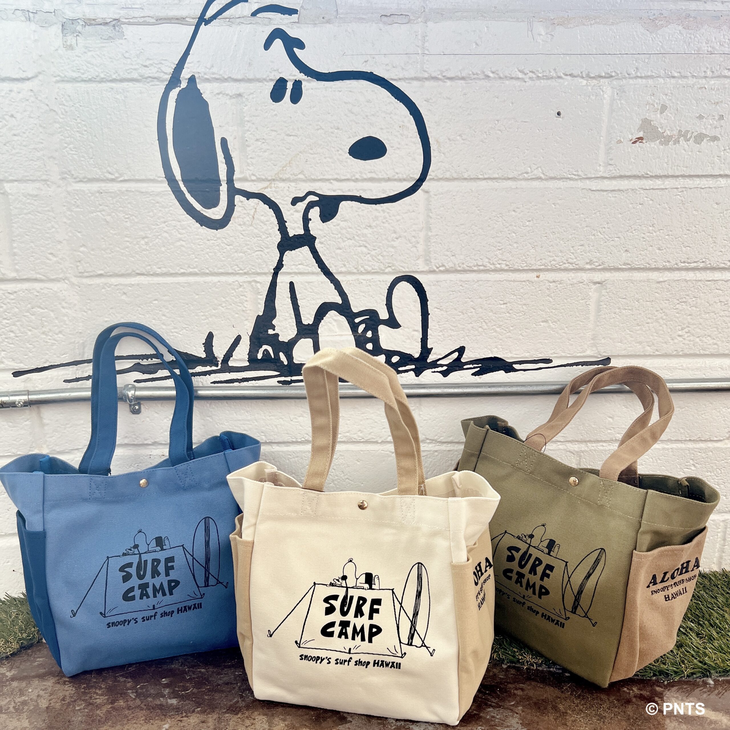 SNOOPY'S SURF SHOP バッグ IMG_8388-scaled.jpg