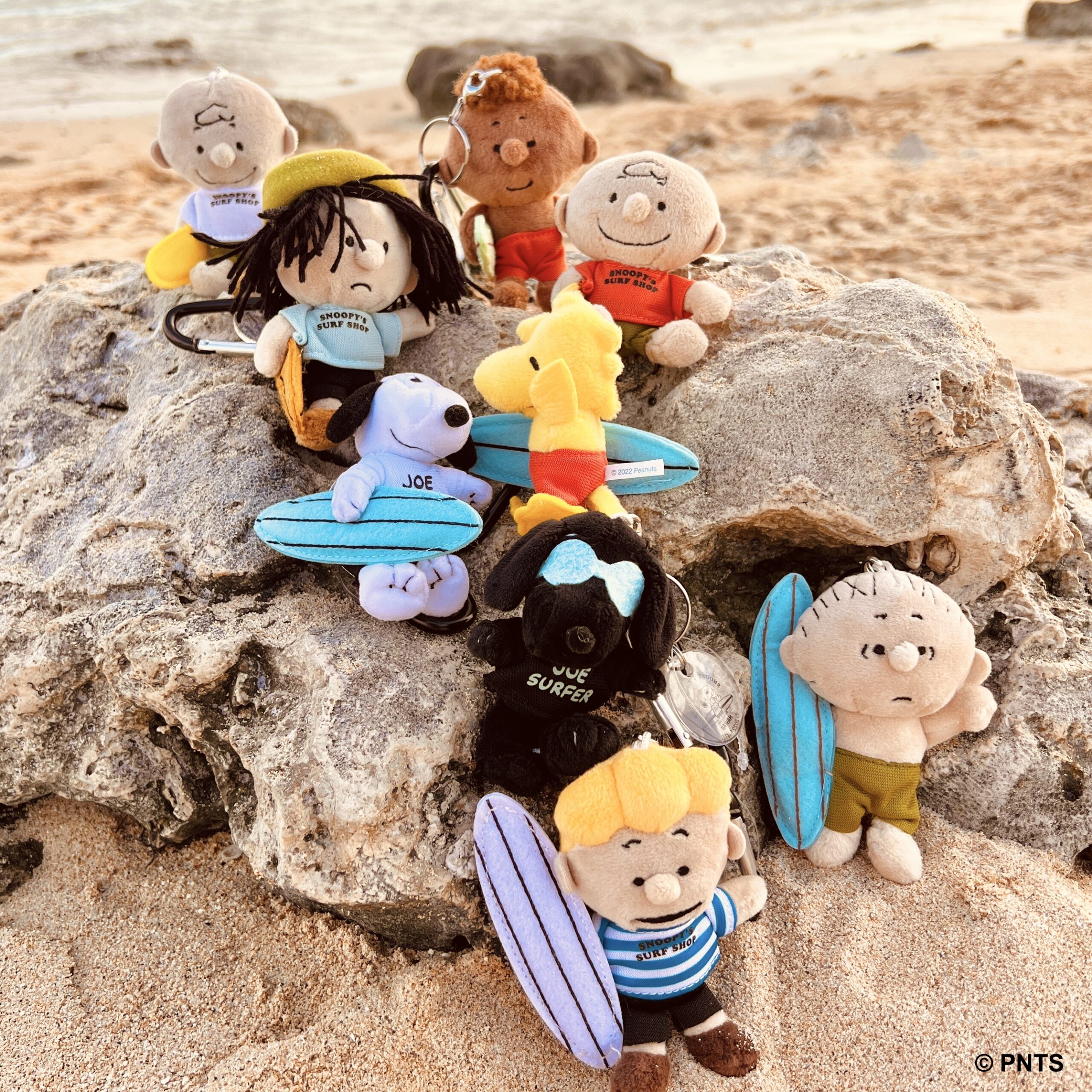 Happy thanksgiving ! | Snoopy's Surf Shop