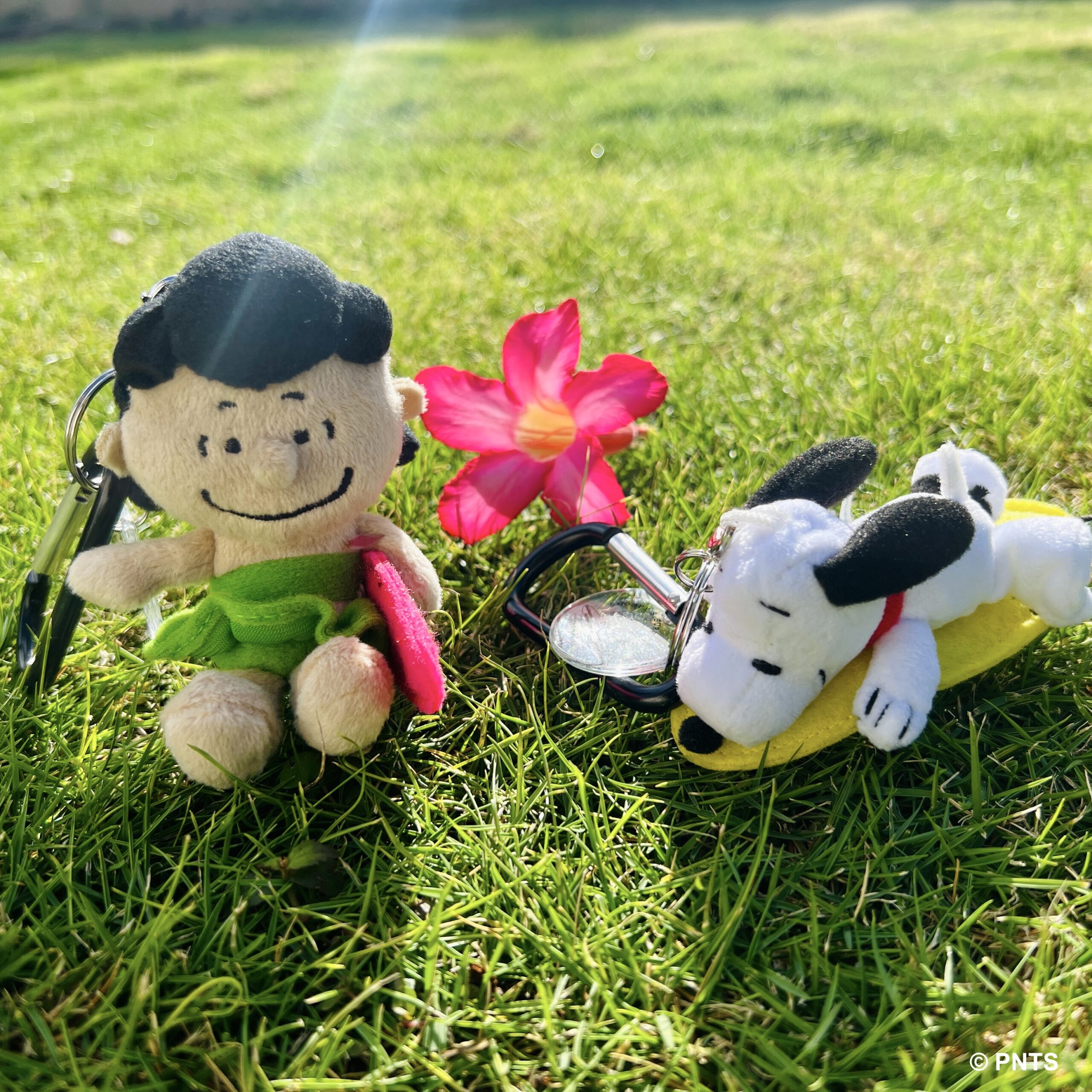 ⭐3点セット⭐SNOOPY'S SURF SHOP 限定 フランクリン 2025年最新】スヌーピーサーフショップ フランクリンの人気
