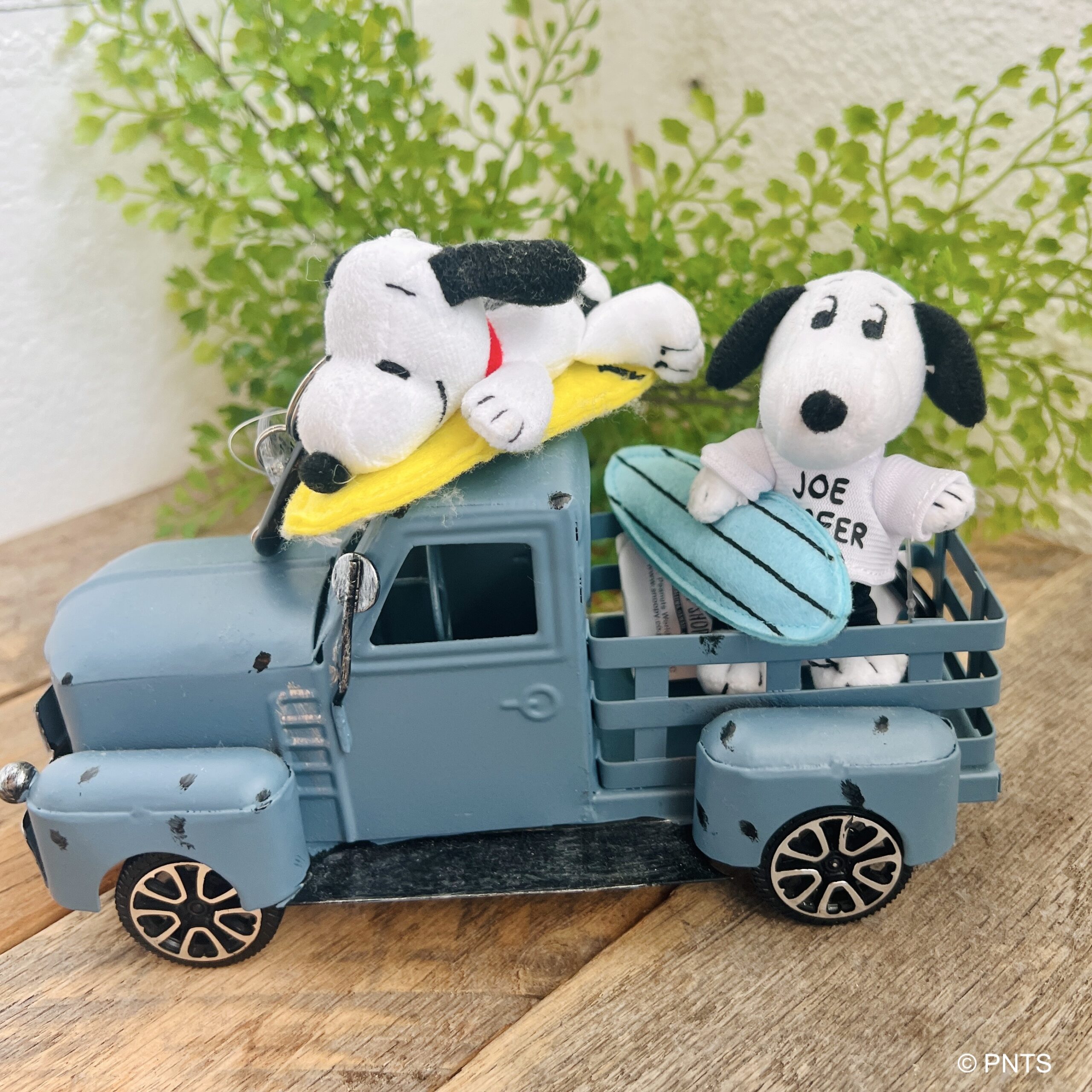 JOE SURFER SNOOPY | Snoopy's Surf Shop