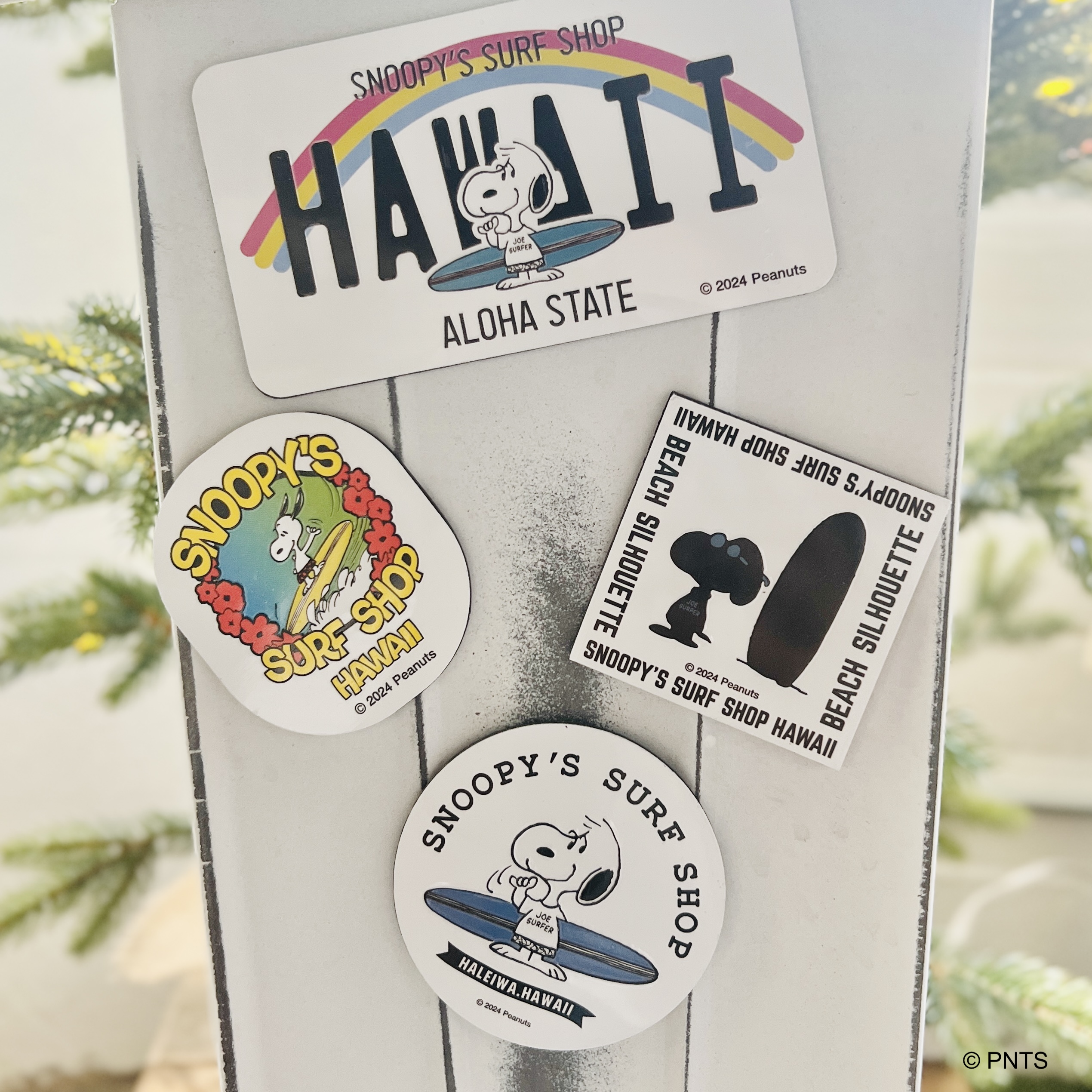 New Magnets ♡ | Snoopy's Surf Shop
