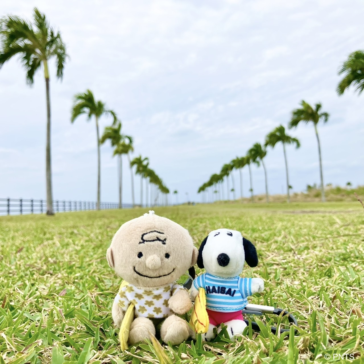 OKINAWA限定のマスコットキーチェーンを連れて♪ | Snoopy's Surf Shop