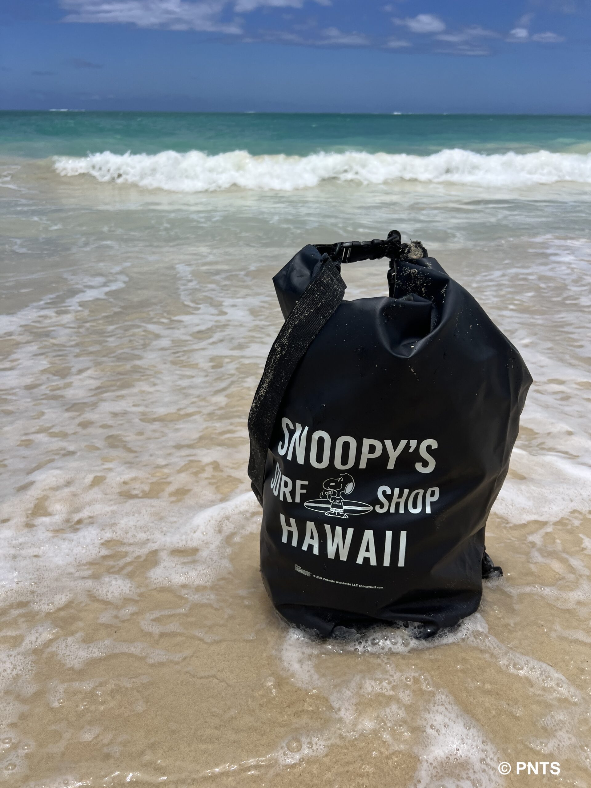 SNOOPY'S SURF SHOP バッグ SNOOPY'S SURF SHOP Waterproof Bag is here! | Snoopy's Surf Shop