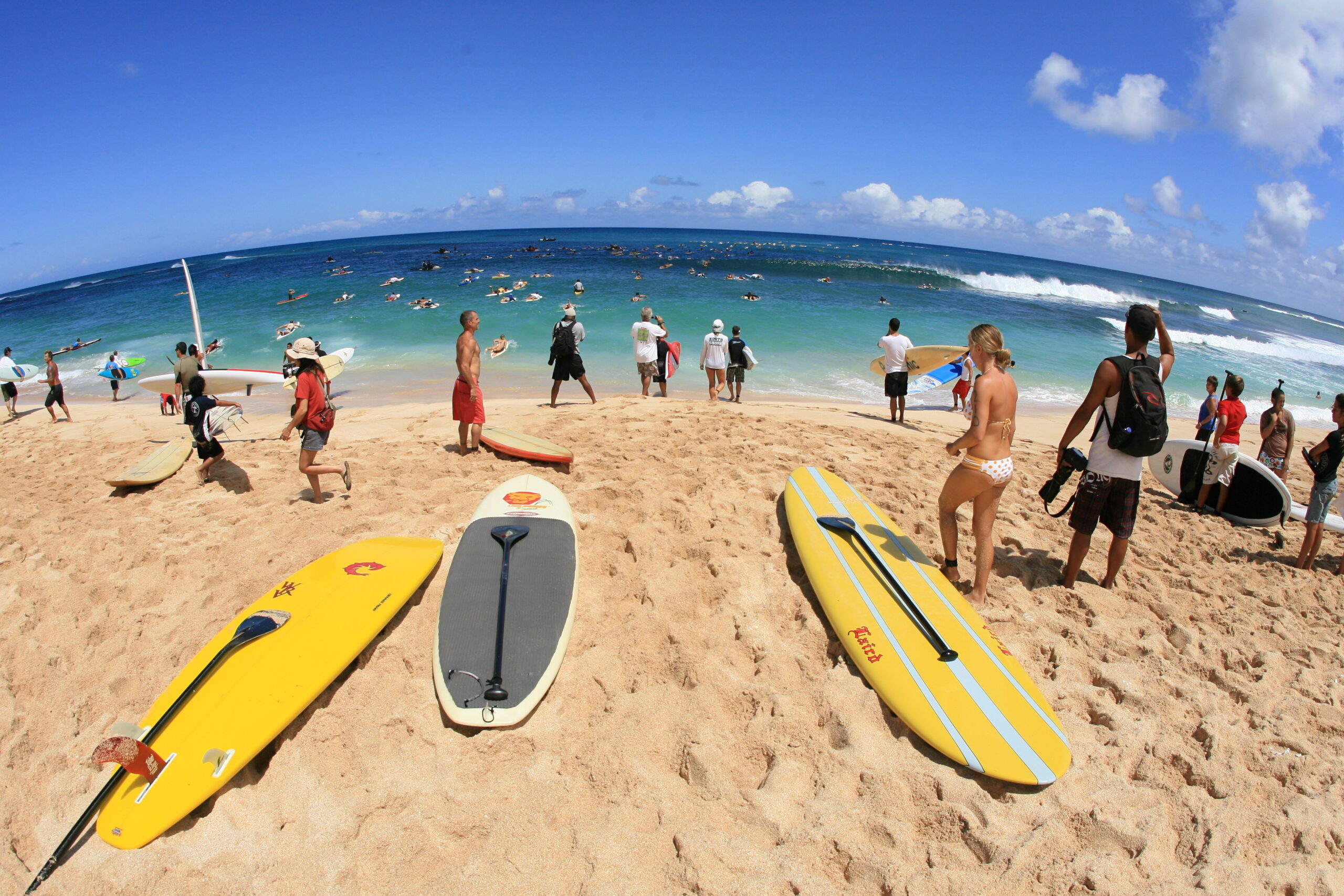 アメリカ独立記念日 in Hawaii! | Snoopy's Surf Shop