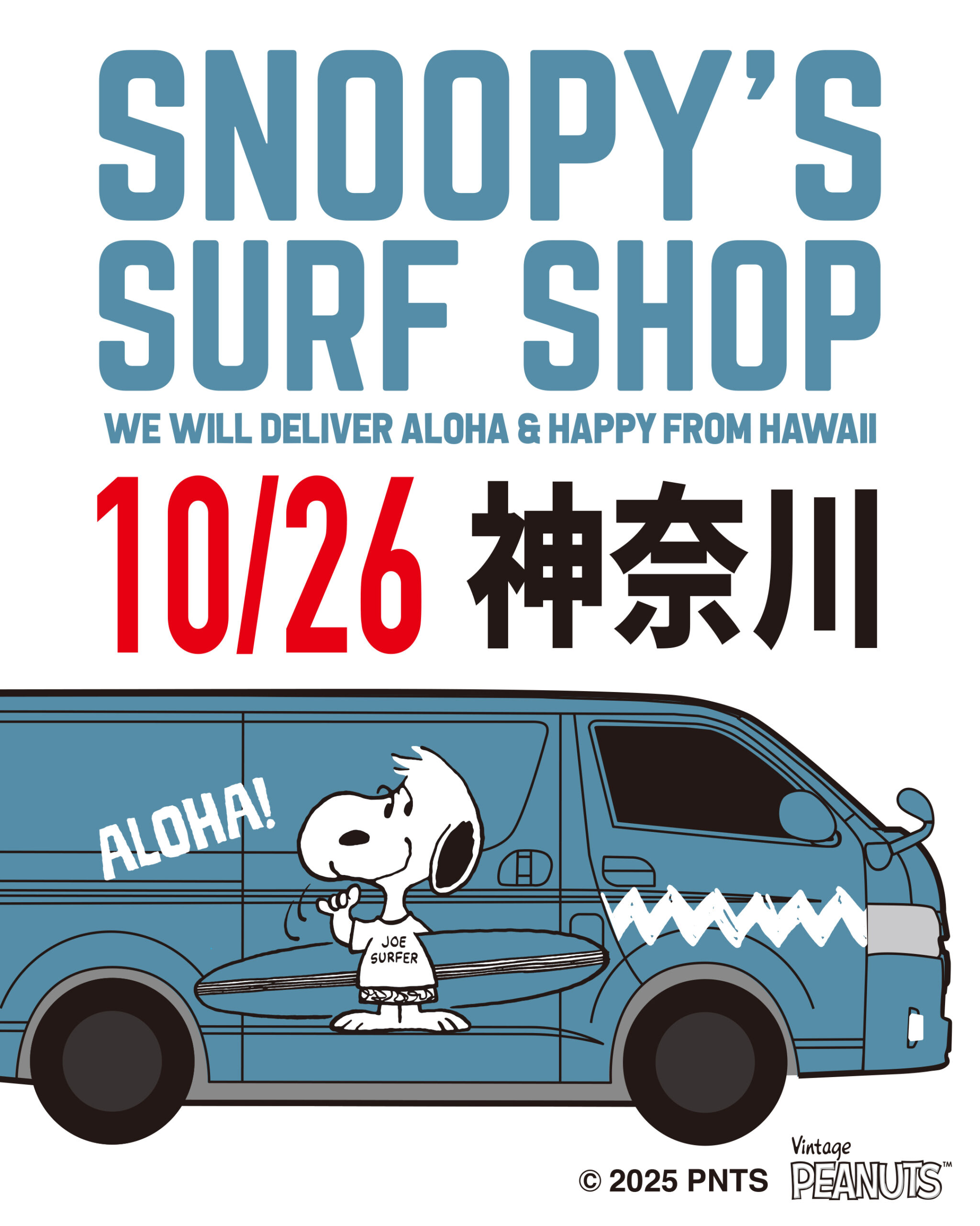 snoopy Hawaii キャンパス額 Amazon.co.jp: Peanuts Snoopy Hawaii Art Panel Poster 2 Print