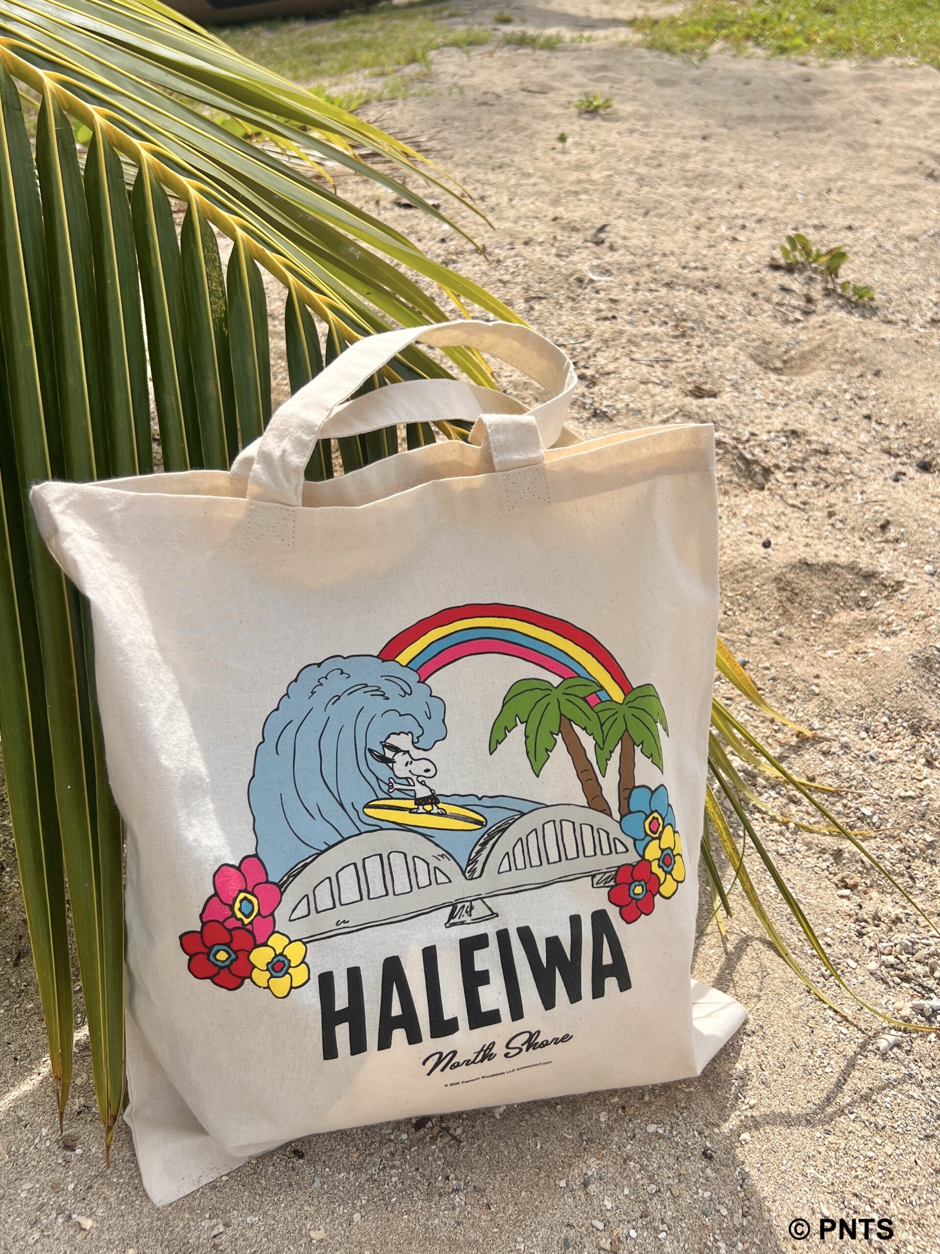 nani ahiahi ~Haleiwa beach パステル画 Haleiwa Wahine North Shore Hawaii Art Poster Print