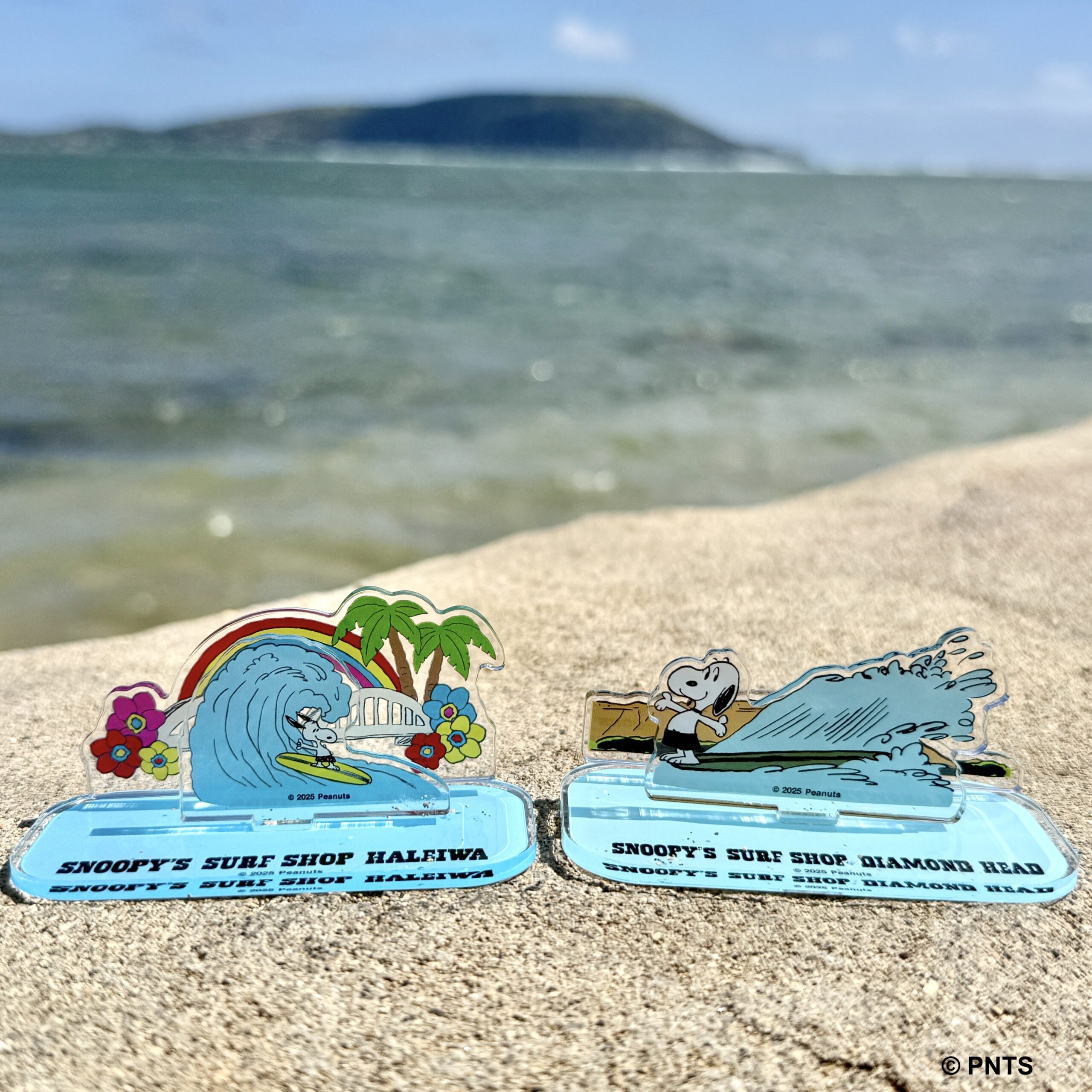 ハワイ旅行の思い出にぴったり 🌺 | Snoopy's Surf Shop