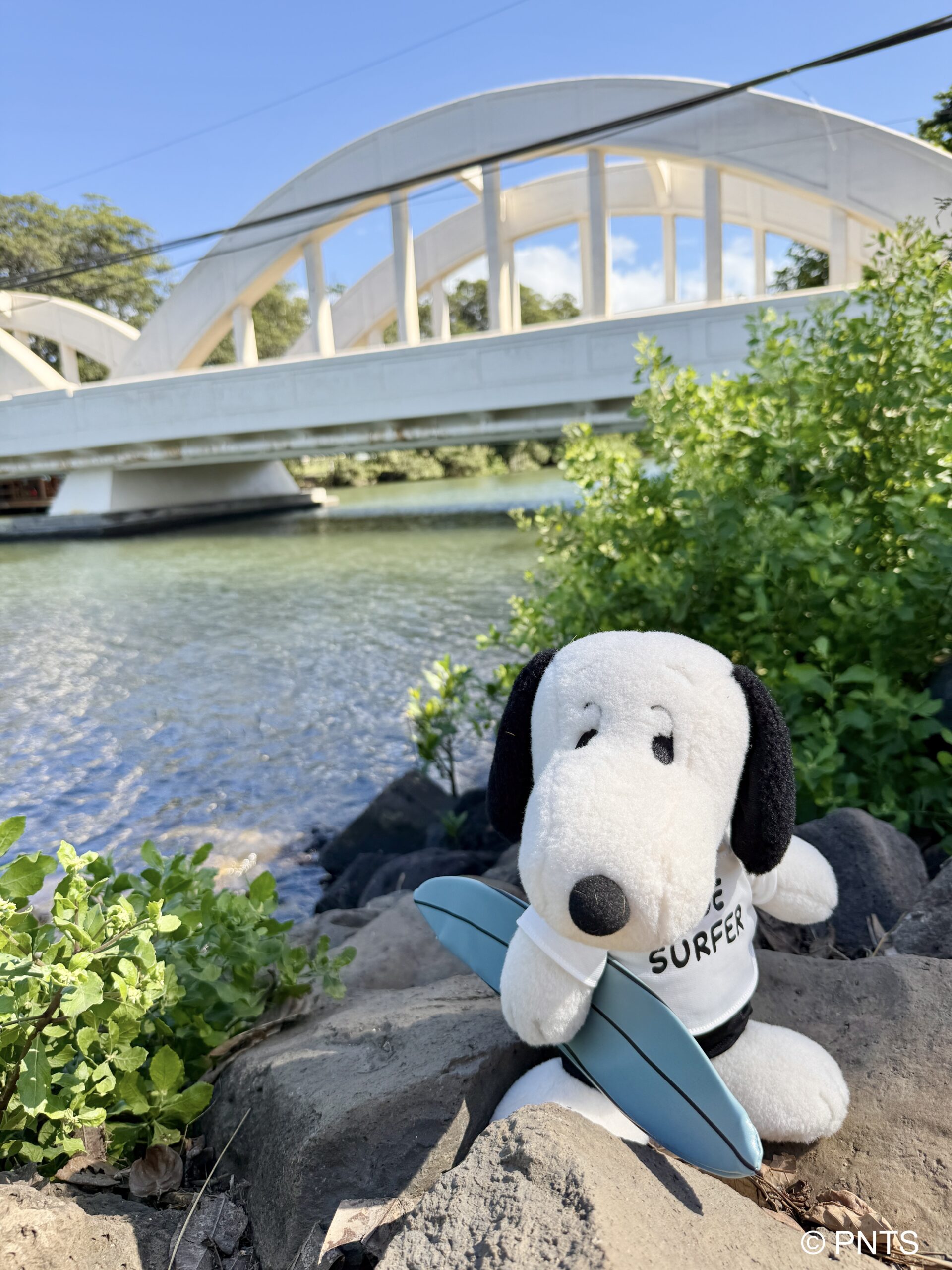 Aloha from Haleiwa Hawaii | Snoopy's Surf Shop